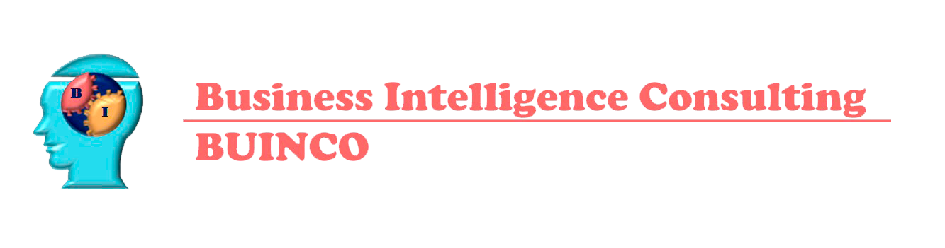 BUSINESS INTELLIGENCE CONSULTING – BUINCO S.A.S.